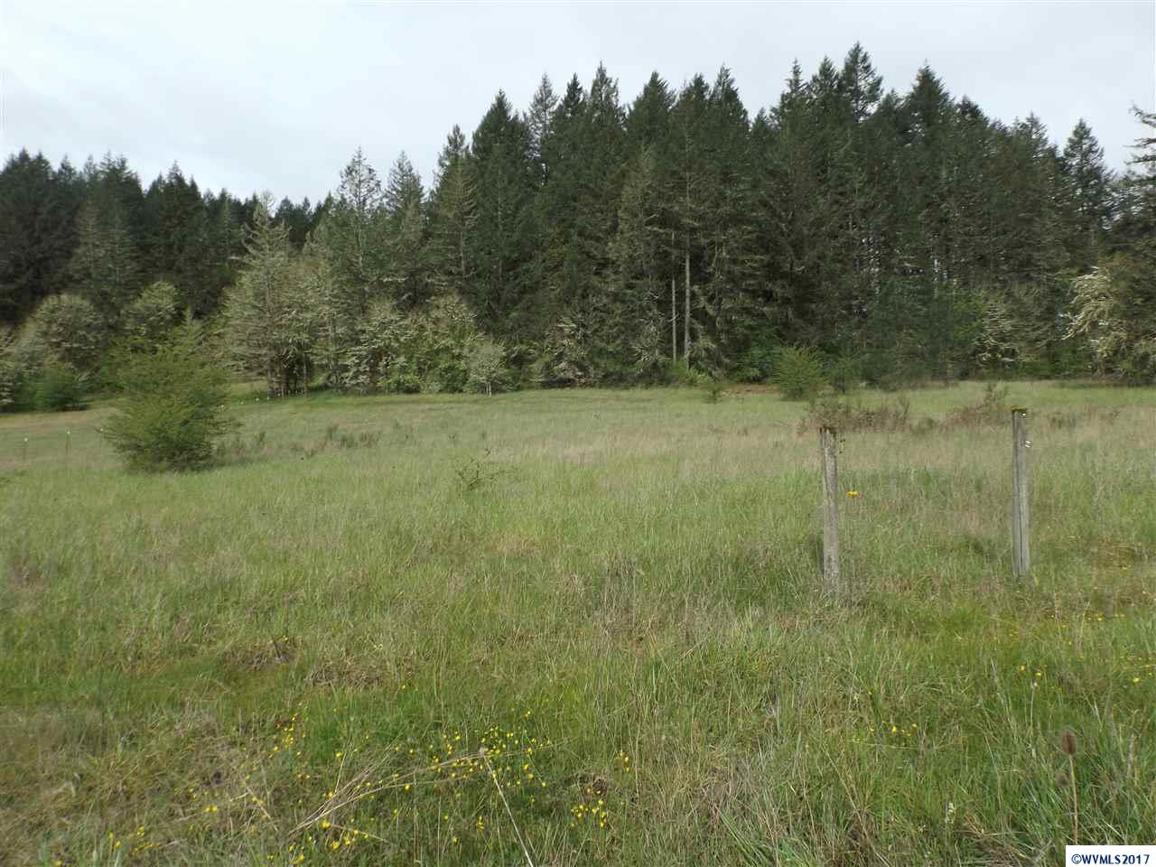 Weldon (lot 209) Road Lebanon, OR 97355 - Photo 5 of 17