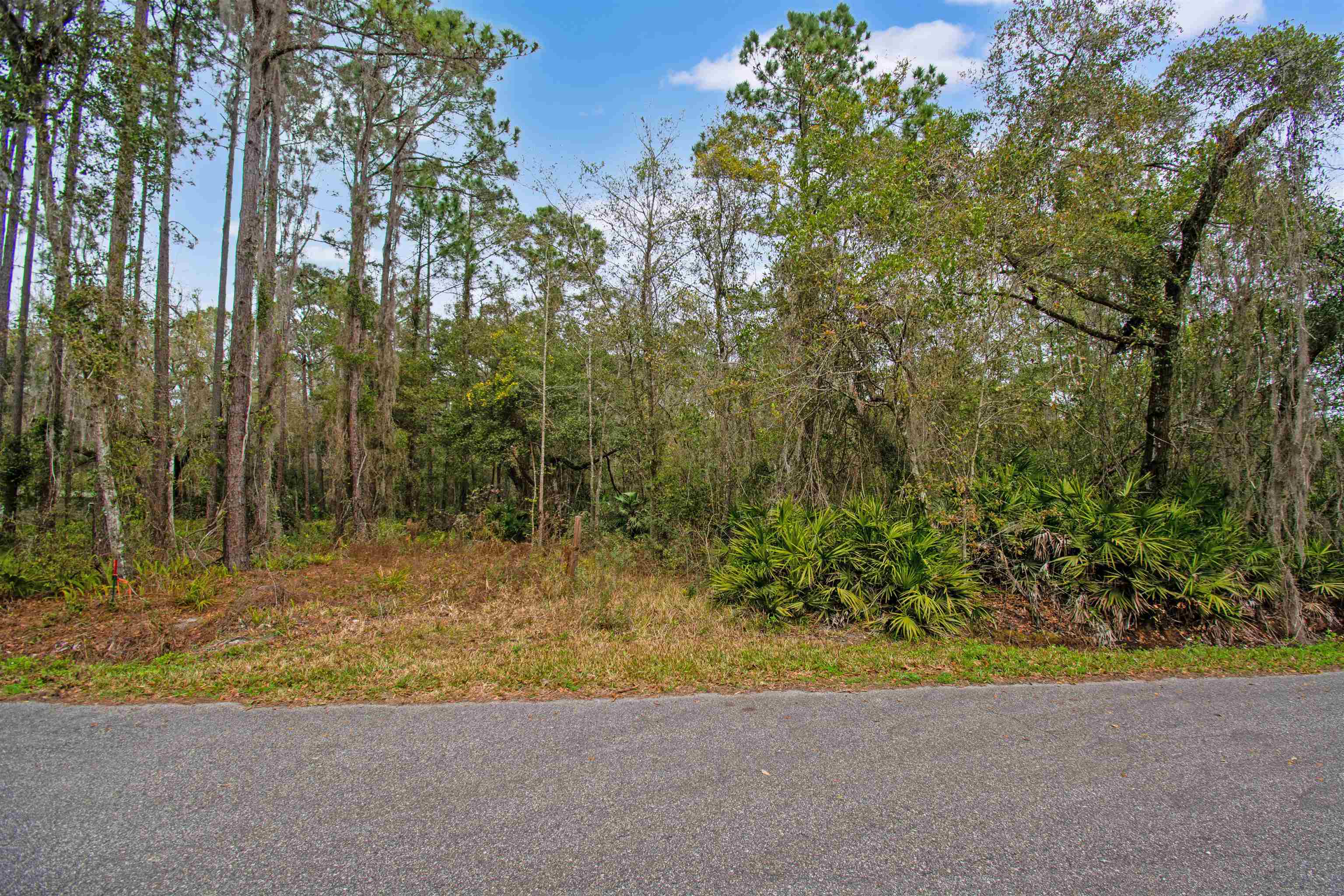 0 Riverdale Road St. Augustine, FL 32092 - Photo 14 of 17 Gallery Image 14