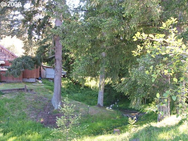 31523 Fairview Road Rainier, OR 97048 - Photo 6 of 16