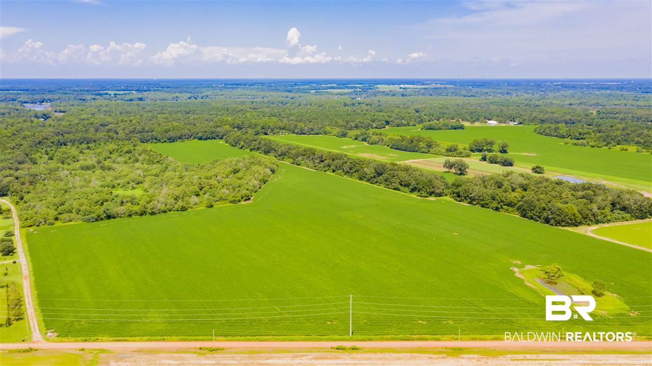 0 East Bay Road Foley, AL 36535 - Photo 1 of 10 Gallery Image 1