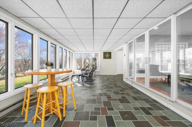 a yard with some trees