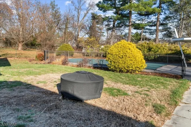 a view of back yard of the house