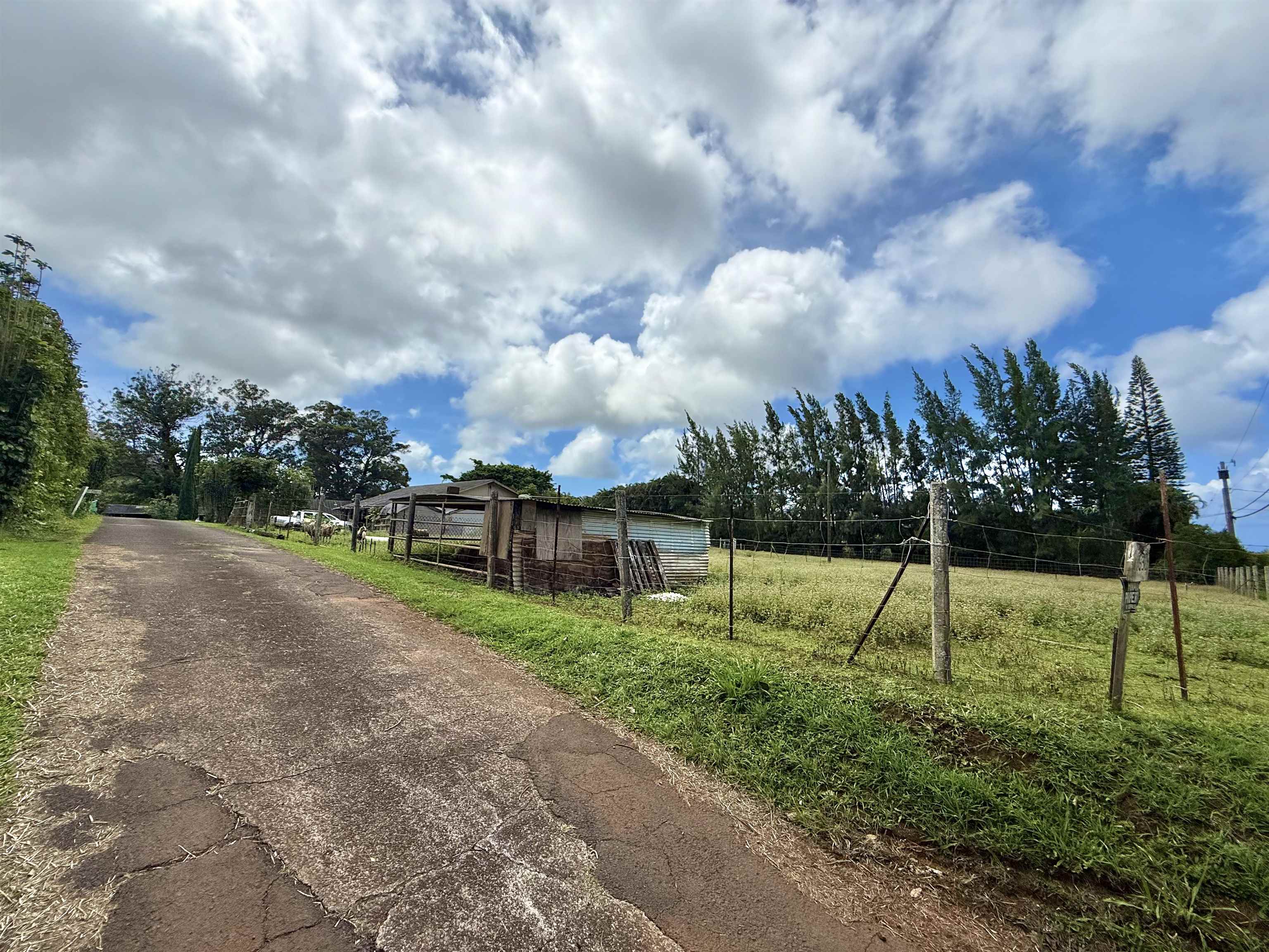 1630 Kauhikoa Road Haiku, HI 96708 - Photo 5 of 48 a view of an outdoor space and entertaining space