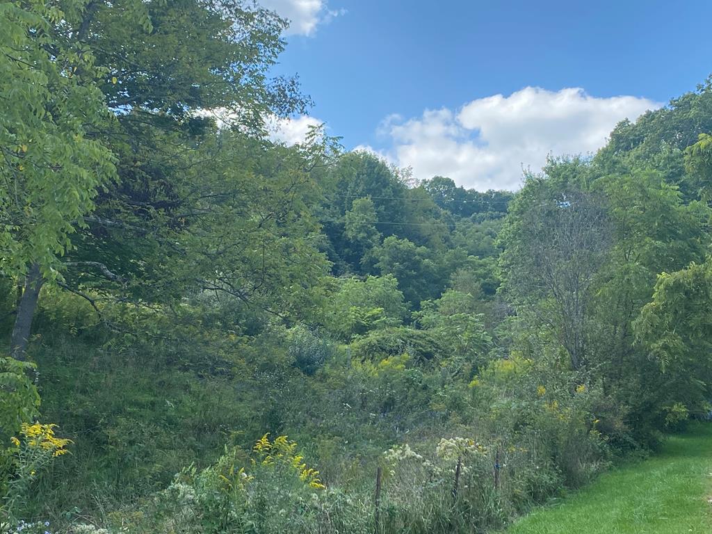 Tbd White Hall Road, Unit 1318 Bluefield, VA 24605 - Photo 1 of 1 Gallery Image 1