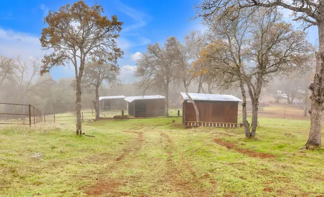 a house with trees in front of it