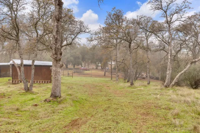 a view of yard with tree in the background