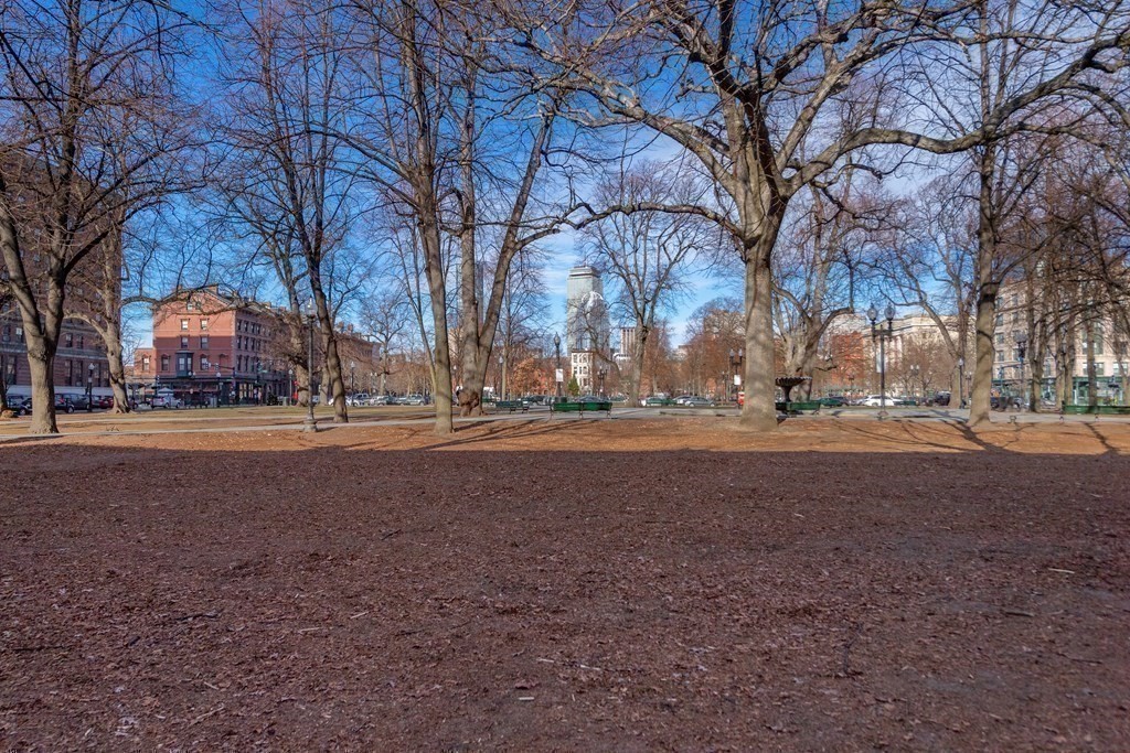 10 St George Street, Unit 203 Boston, MA 02118 - Photo 13 of 15