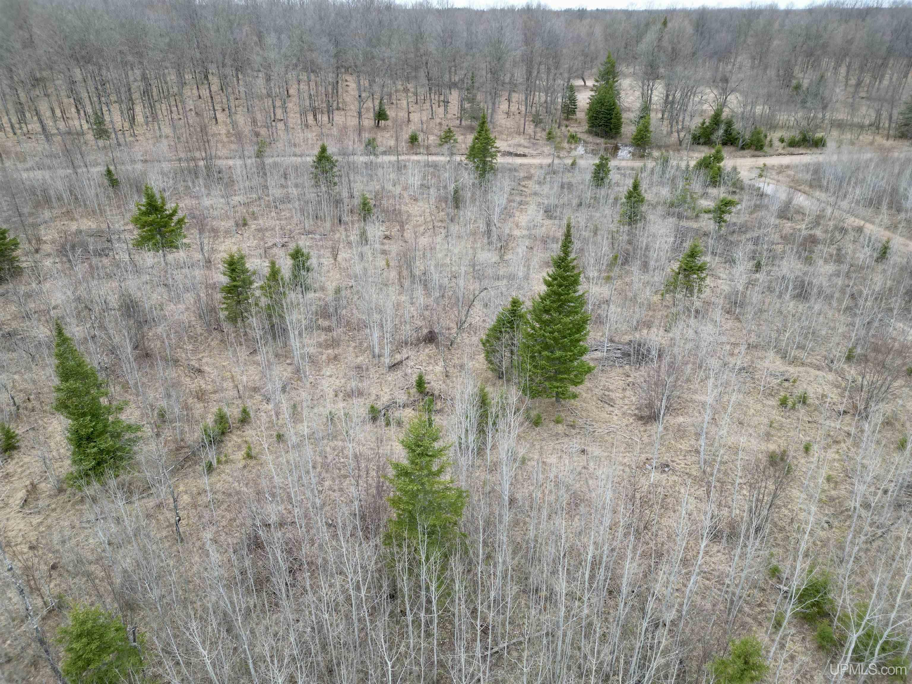 Tbd North Gaber Rd H Road Perronville, MI 49873 - Photo 2 of 14