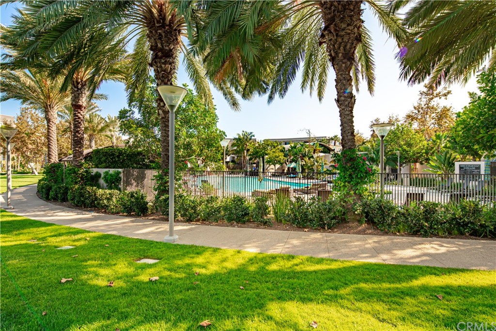 61 Gramercy Irvine, CA 92612 - Photo 21 of 21 a view of a garden with a palm tree
