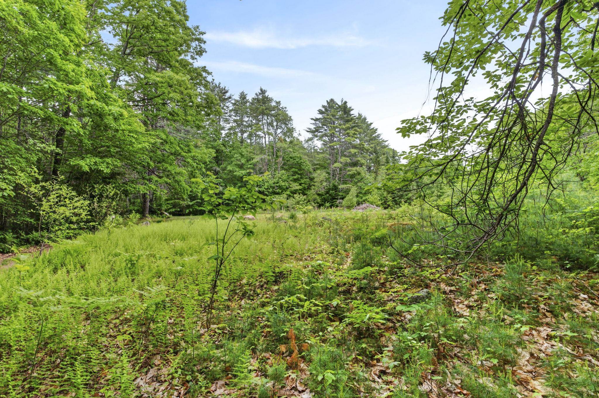 173 N Road Deering, NH 03244 - Photo 42 of 58
