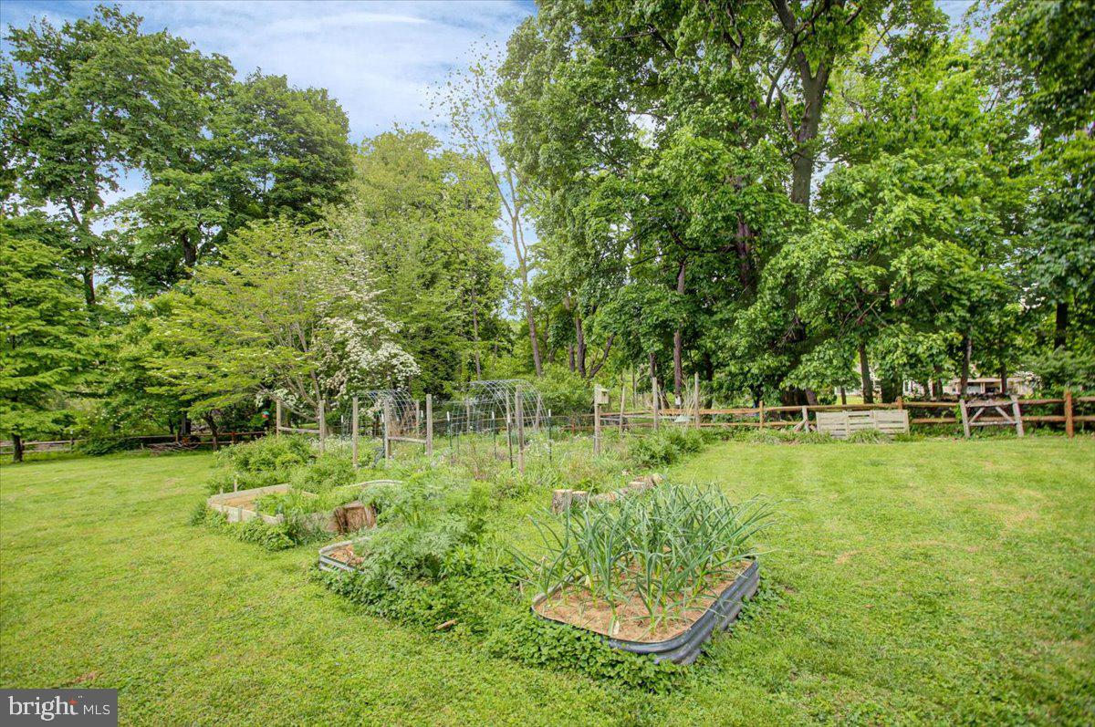 12458 Monterey Lane Blue Ridge Summit, PA 17214 - Photo 69 of 92