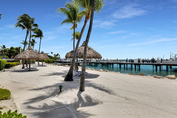 a view of a swimming pool with a lawn chairs