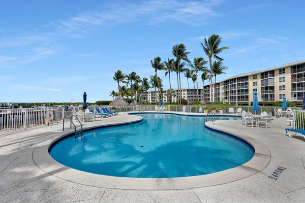 a view of a swimming pool with a lawn chairs under palm trees