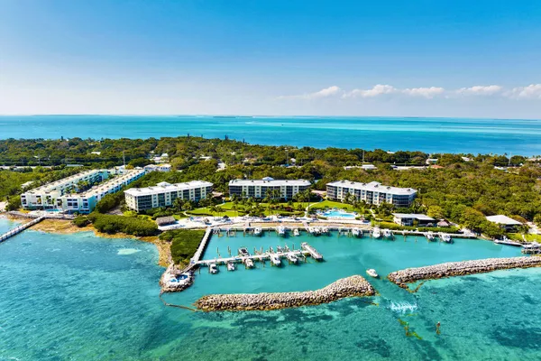 an aerial view of residential houses with outdoor space and swimming pool