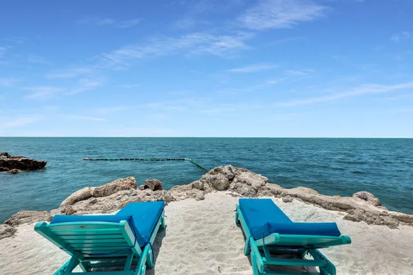 a view of a garden with a pathway