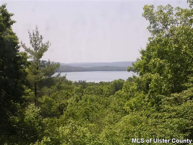 20 Sherman Road Woodstock, NY 12498 - Photo 17 of 17 a view of a field with a tree in the background