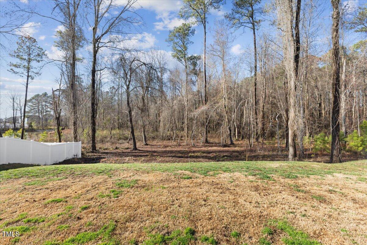 3800 Cross Timber Lane Raleigh, NC 27603 - Photo 41 of 45 50-3800 Cross Timber Ln
