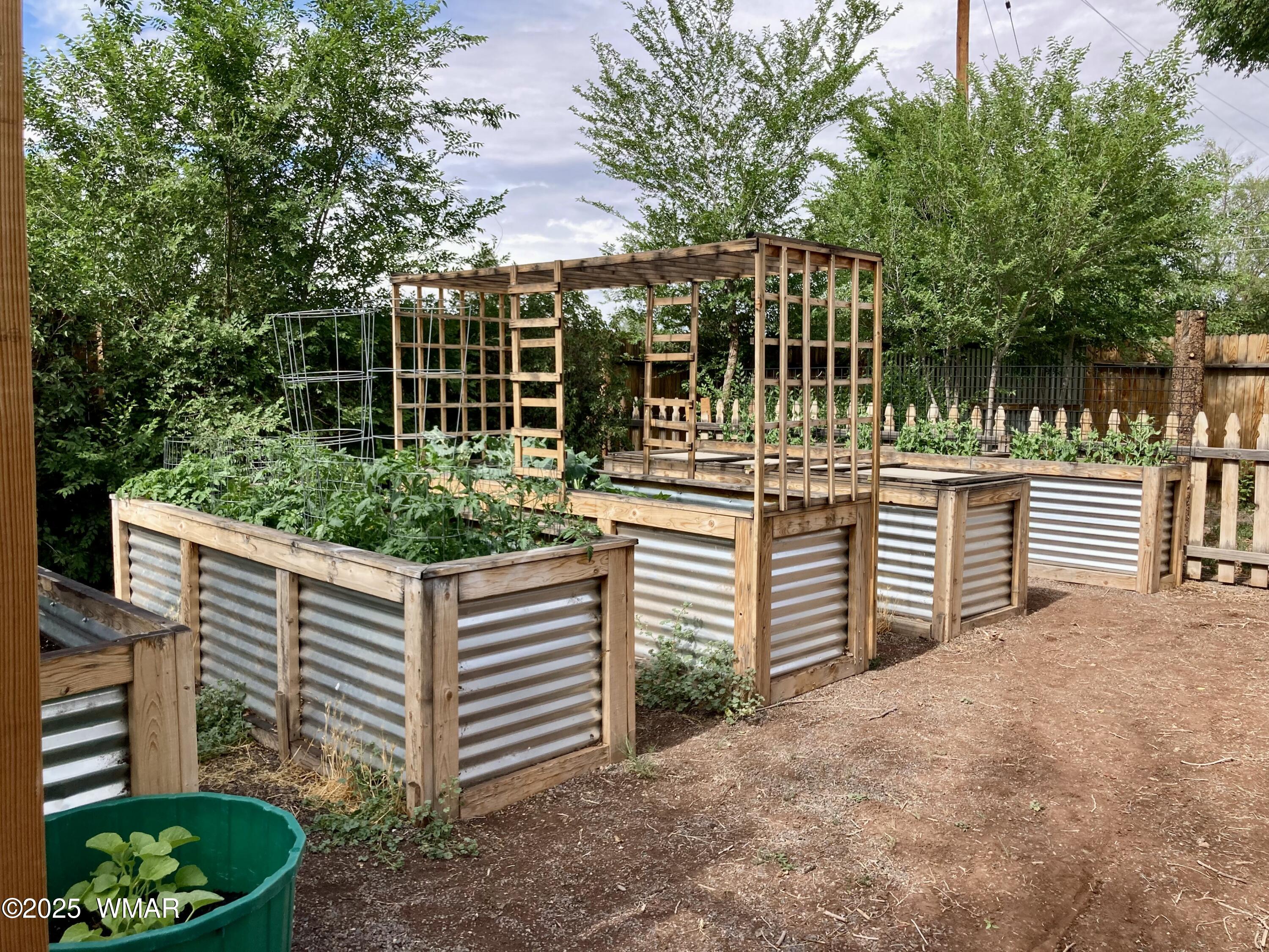 49 North Zuni Street Springerville, AZ 85938 - Photo 35 of 42 Summer Garden boxes 2
