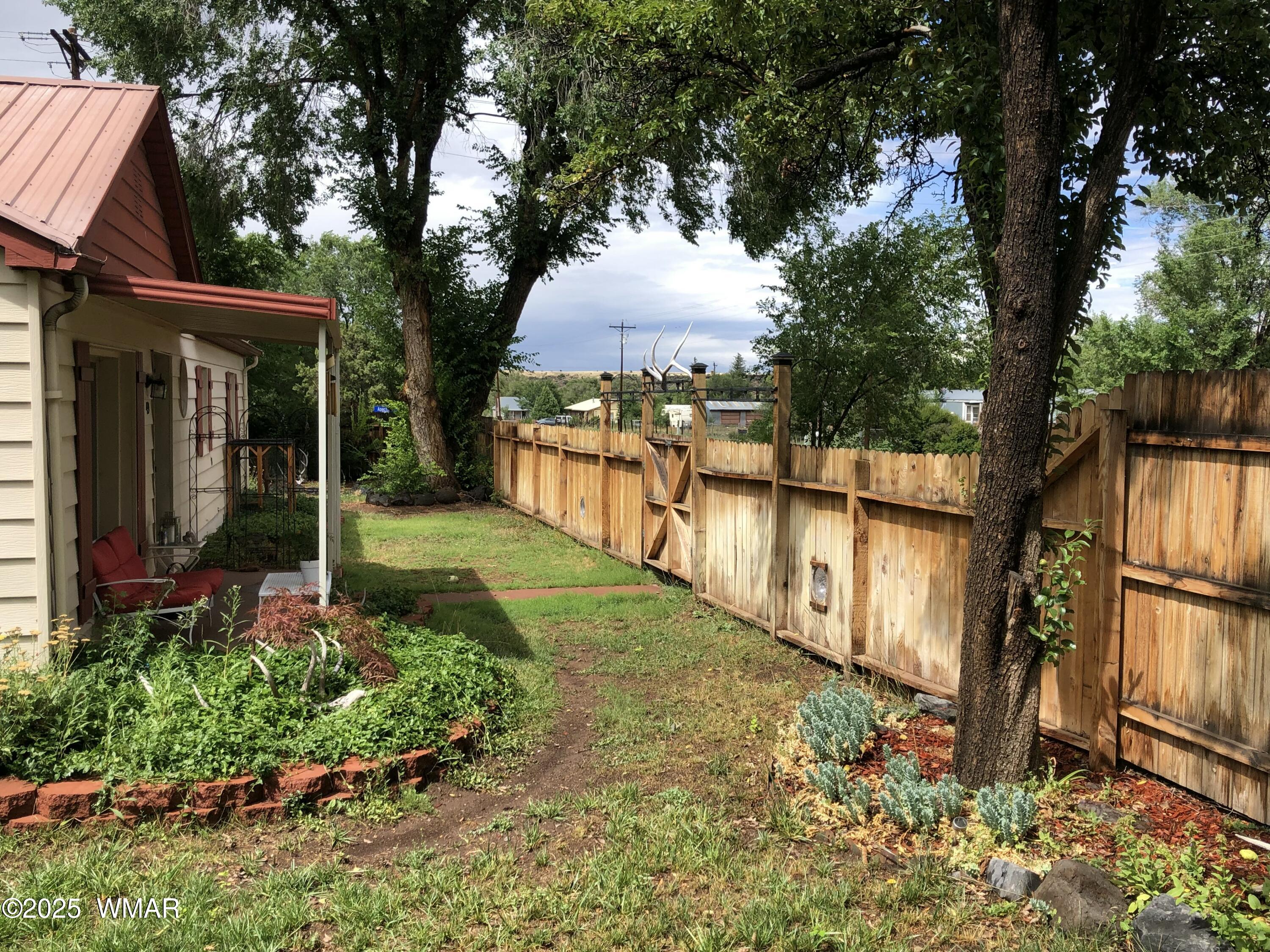 49 North Zuni Street Springerville, AZ 85938 - Photo 4 of 42 Summer Front yard