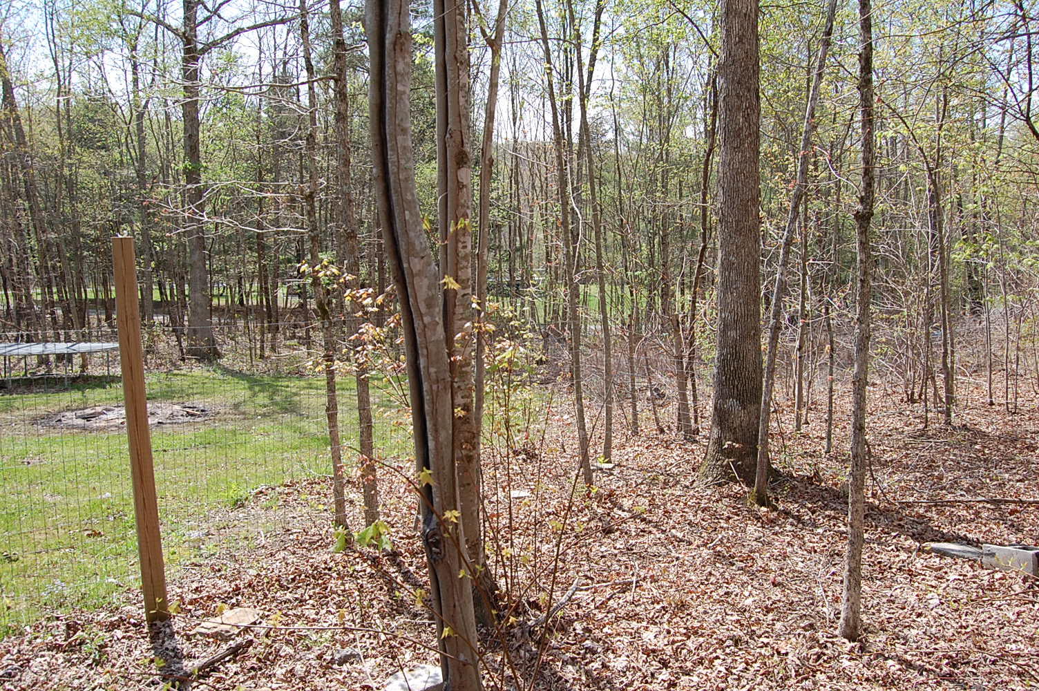 925 Black Mountain Road Dunlap, TN 37327 - Photo 11 of 30 1298327 - 925 Black Mtn. Rd 011