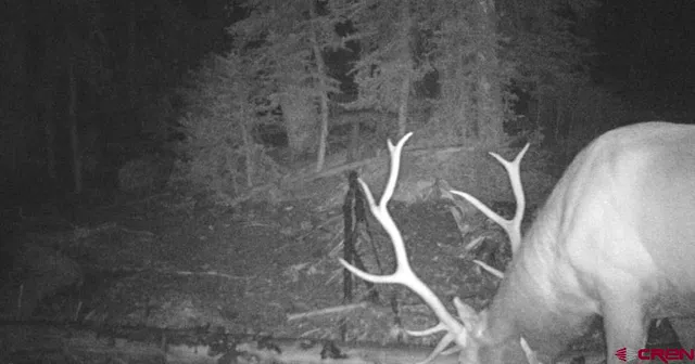 a view of ocean view