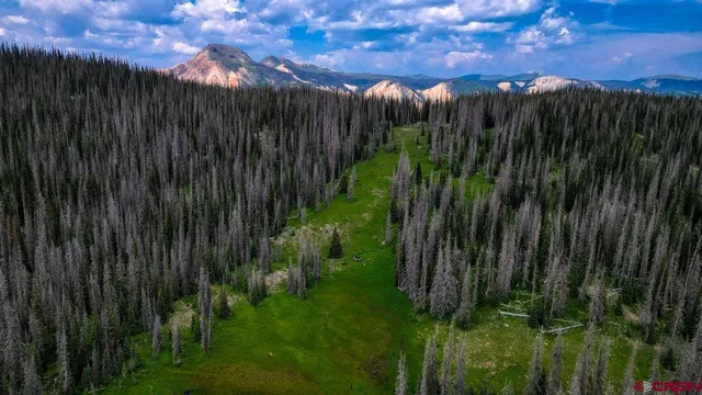 a view of outdoor space with a garden
