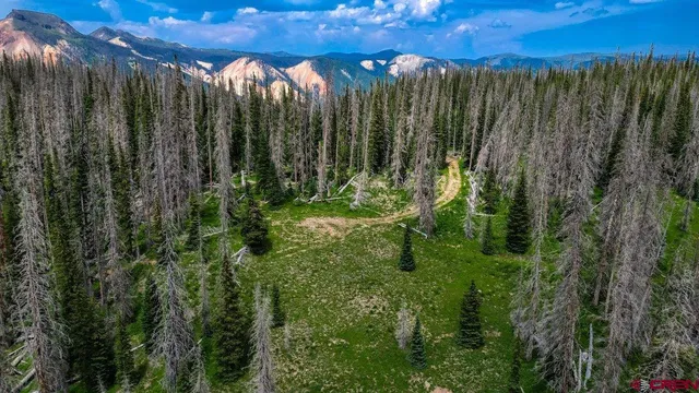a view of a back yard