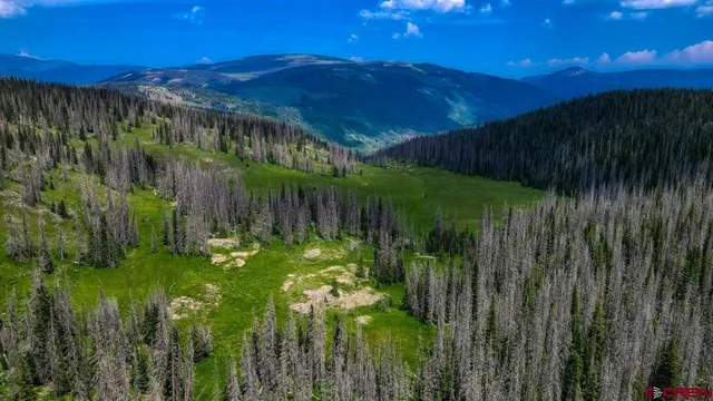 a view of a yard with an trees
