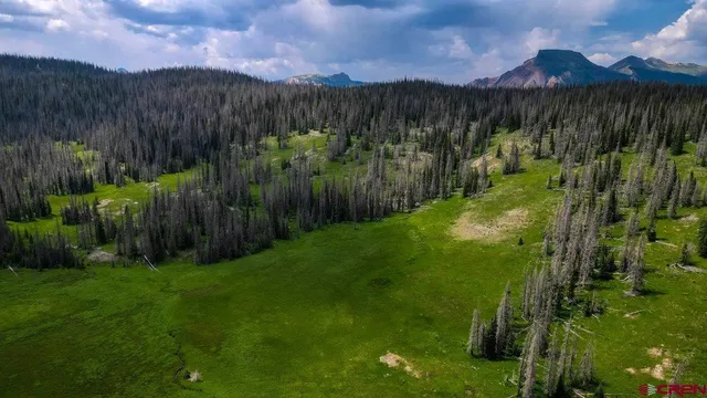 a view of a yard in front of the house