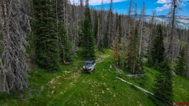 a view of a big yard of a house