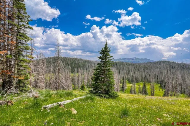 a view of yard with green space