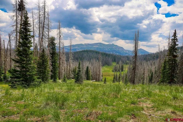 $1,200,000 | Tbd Tbd Stunner Pass, Antonito, CO 81120