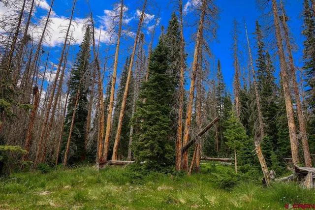 $1,200,000 | Tbd Tbd Stunner Pass, Antonito, CO 81120