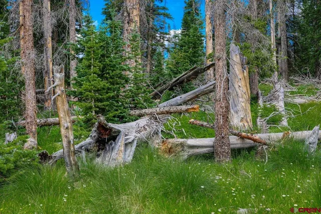 $1,200,000 | Tbd Tbd Stunner Pass, Antonito, CO 81120