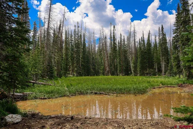 a view of a lake with a big yard