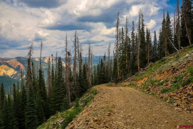 a view of a city with palm trees