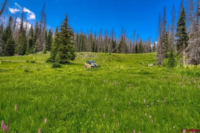 a view of backyard with green space