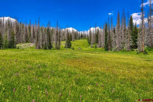 a view of a golf course