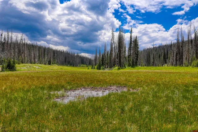 a sign that is on a wall