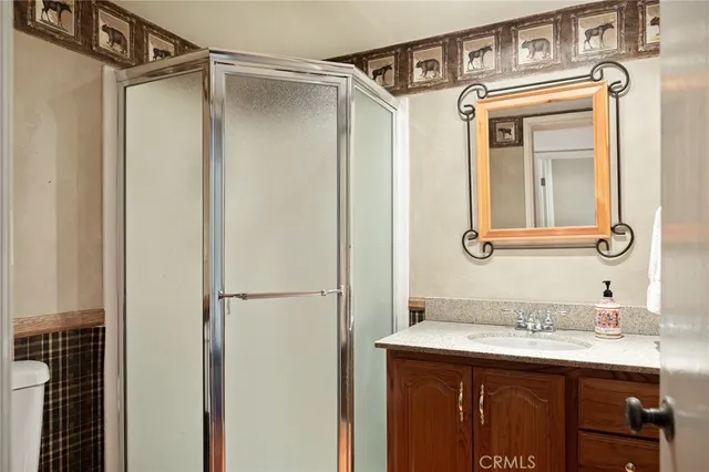 a bathroom with a granite countertop sink mirror and a shower