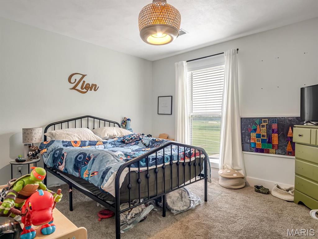 10024 Karch Road Mascoutah, IL 62258 - Photo 23 of 27 Gallery Image 23