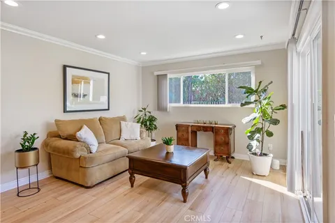 a living room with furniture a potted plant and a window