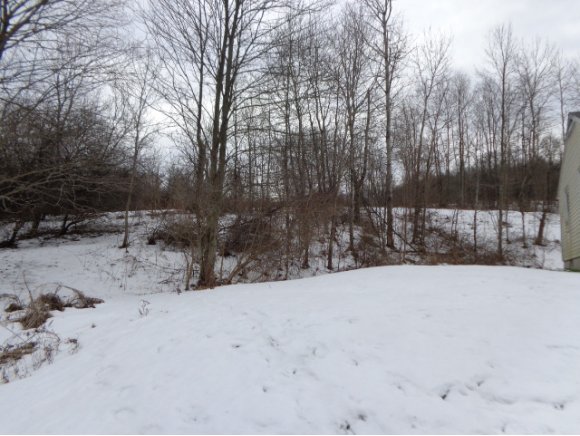 9463 Nys Rte 79 Lisle, NY 13797 - Photo 8 of 8 Gallery Image 8