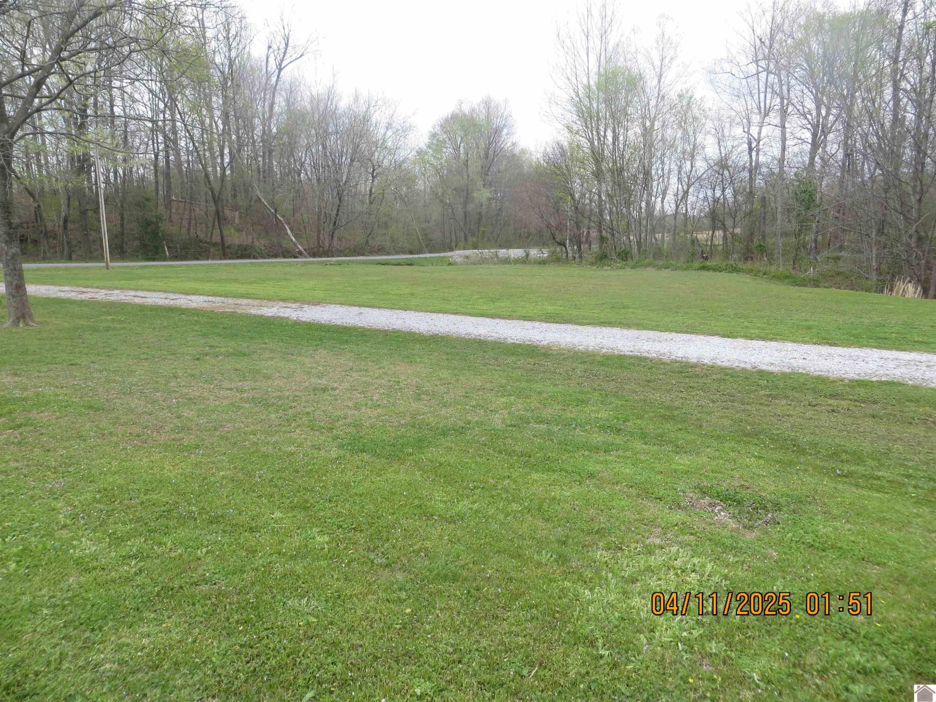 768 Flournoy Road Wickliffe, KY 42087 - Photo 23 of 45 Photo 23