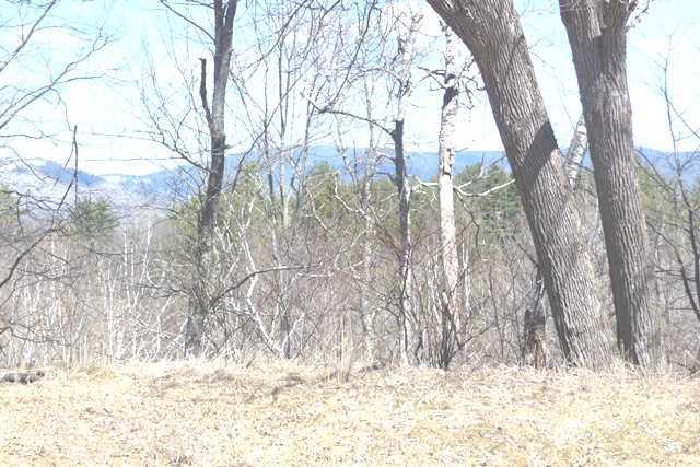15 Nevel Road Andover, ME 04216 - Photo 26 of 33 Other. Back yard