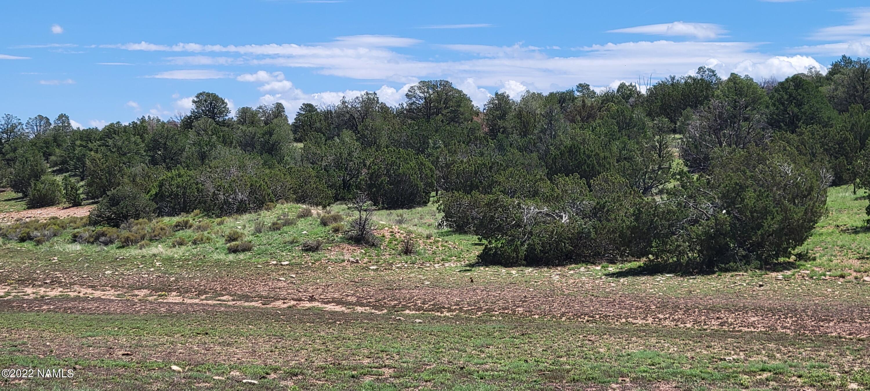 8298 West Red Bluff Road Williams, AZ 86046 - Photo 11 of 23 20220806_113141