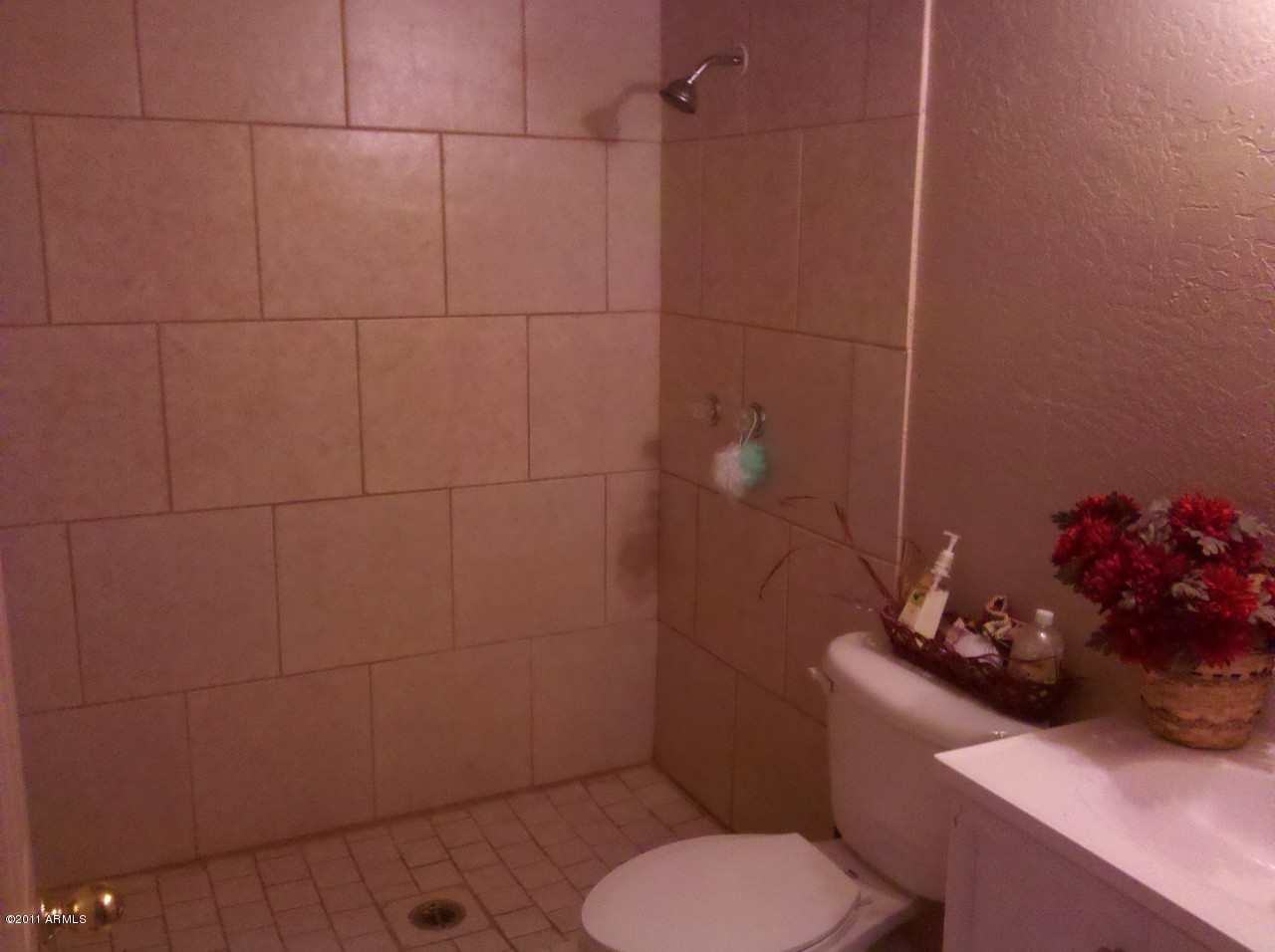 1219 West Mountain View Road, Unit 1 Phoenix, AZ 85021 - Photo 5 of 23 pic 8