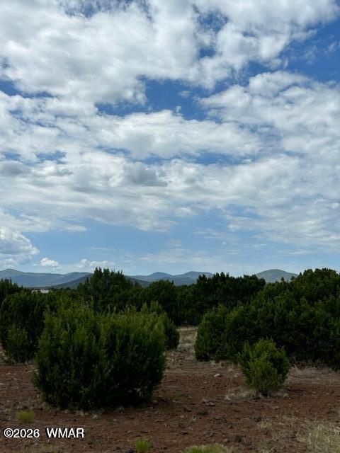 N3109 Rd Vernon Az 85940 Road Vernon, AZ 85940 - Photo 9 of 17
