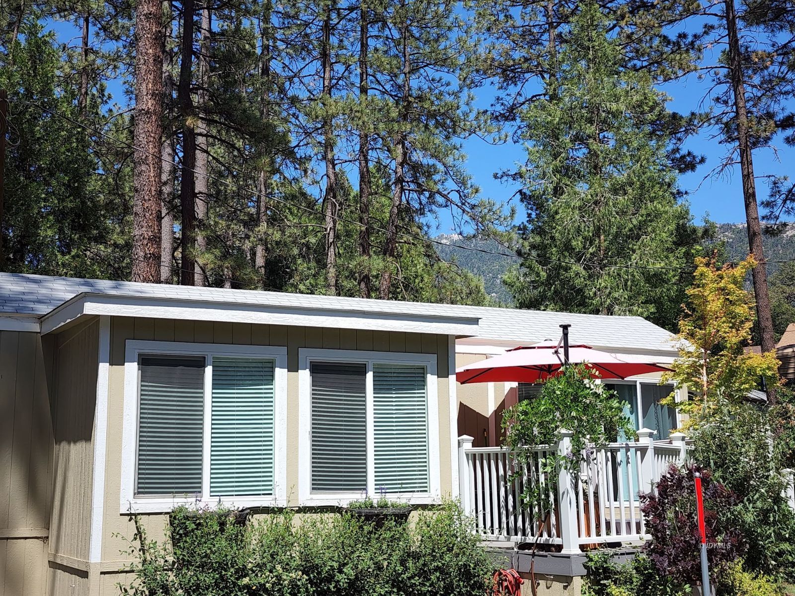 25955 Highway 243, Unit 45 Idyllwild, CA 92549 - Photo 2 of 25 a view of a house with a small yard and a large tree