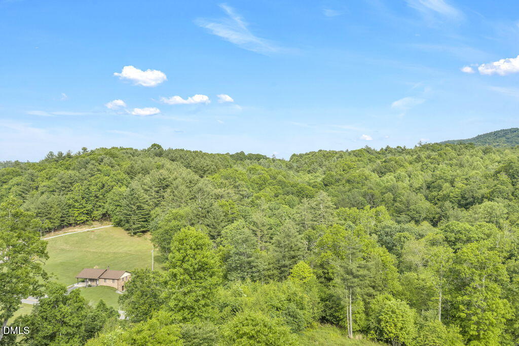 488 Dewitt Road Sparta, NC 28675 - Photo 2 of 17